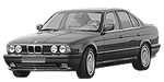 BMW E34 P253A Fault Code